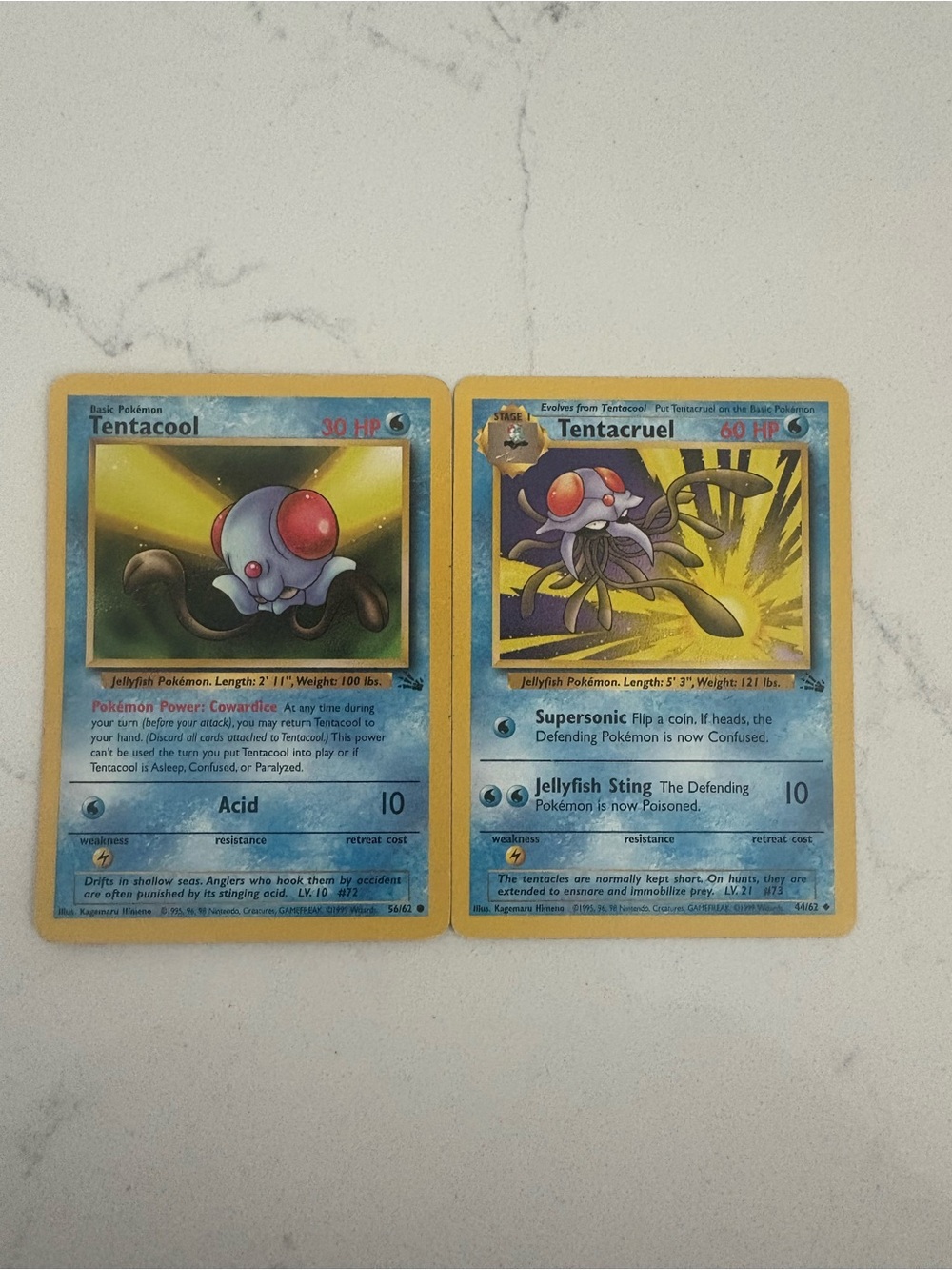Tentacool & Tentacruel Pokémon Card Duo - 90s original
